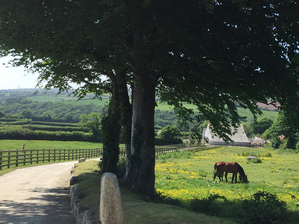Treveighan Farmhouse Saint Teath ภายนอก รูปภาพ