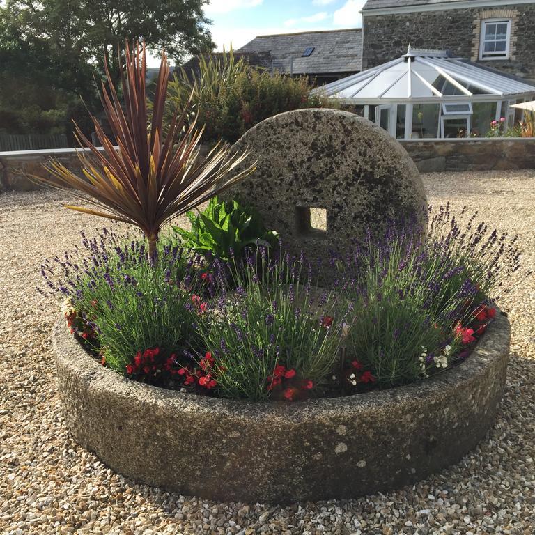 Treveighan Farmhouse Saint Teath ภายนอก รูปภาพ