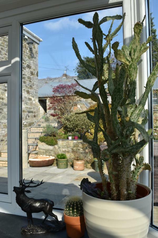 Treveighan Farmhouse Saint Teath ภายนอก รูปภาพ